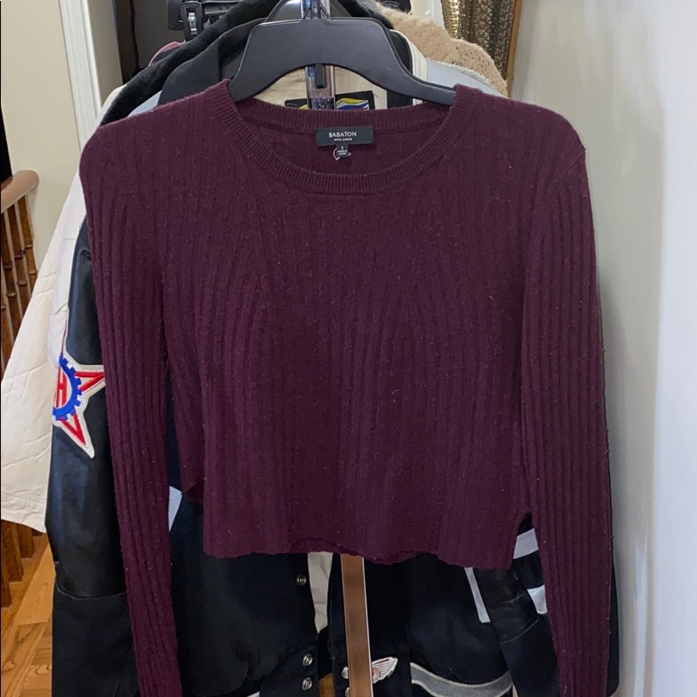 🍇🍇ARITZIA BABATON NATHANIEL SWEATER🍇🍇